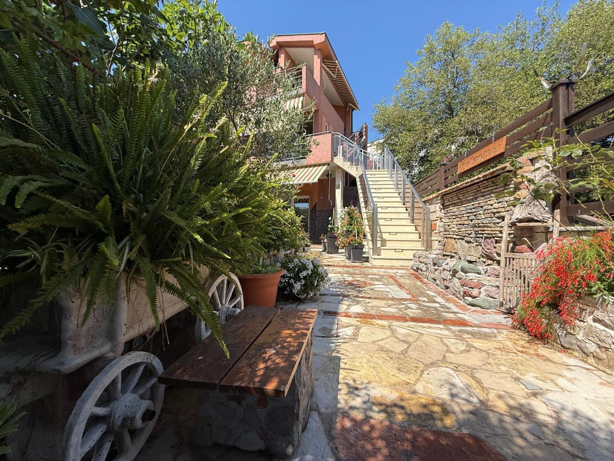 Scepanovic Tivat