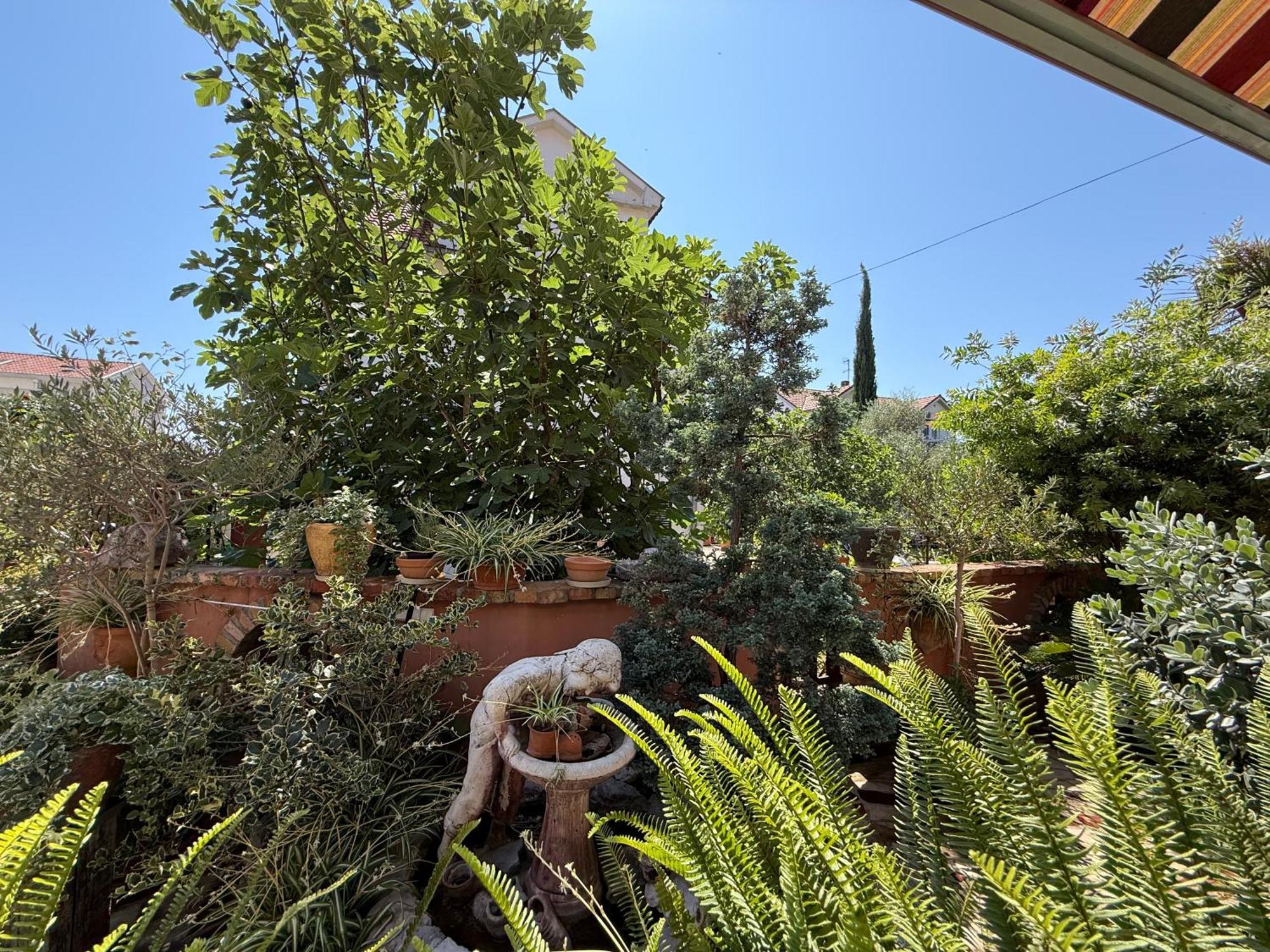 Scepanovic Appartement Tivat